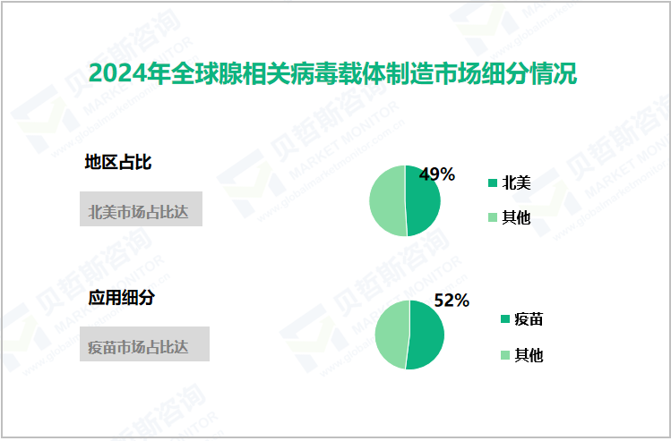 2024年全球腺相关病毒载体制造市场细分情况