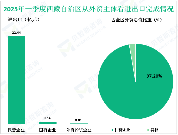 2025年一季度西藏自治区从外贸主体看进出口完成情况