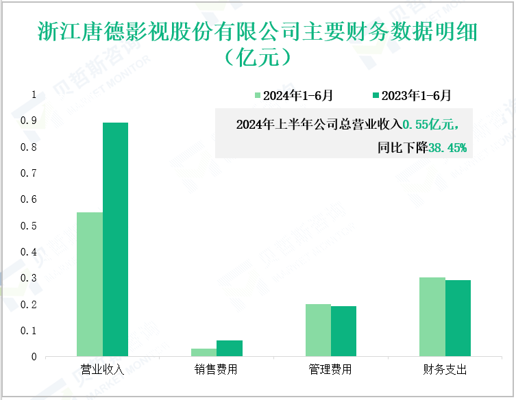 浙江唐德影视股份有限公司主要财务数据明细(亿元)