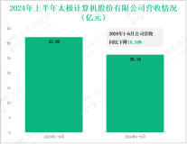 太极股份深耕数字中国建设，其营收在2024年上半年为26.14亿元