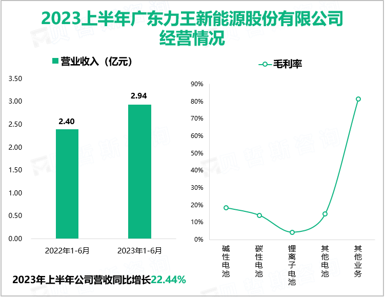 2023上半年广东力王新能源股份有限公司经营情况