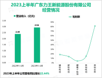 2023年上半年力王股份主要型号锌锰电池售价增加，最终公司总营收达2.94亿元