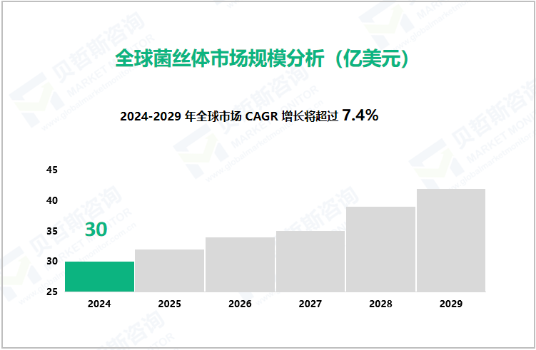 全球菌丝体市场规模分析（亿美元） 