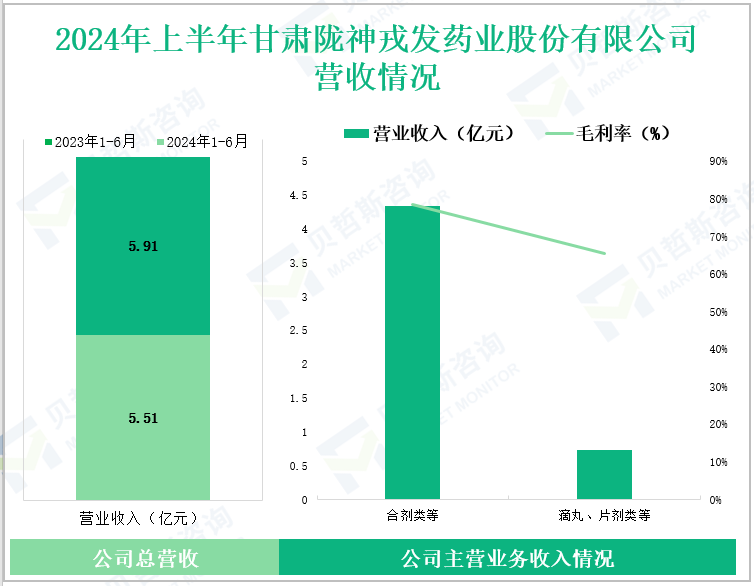 2024年上半年甘肃陇神戎发药业股份有限公司营收情况