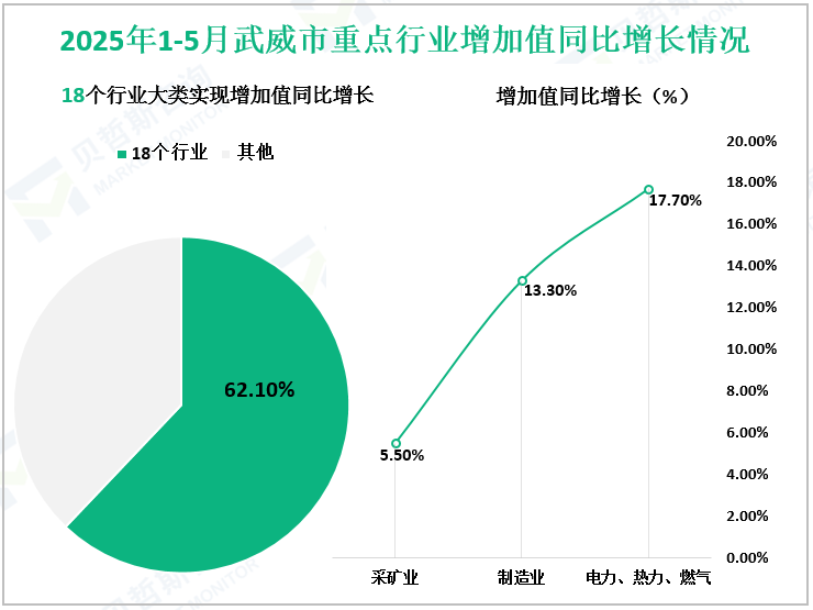 2025年1-5月武威市重点行业增加值同比增长情况
