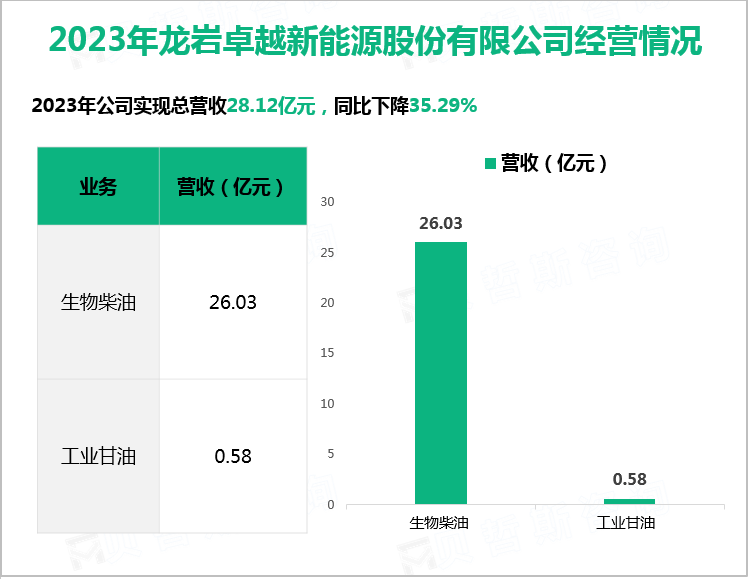 2023年龙岩卓越新能源股份有限公司经营情况