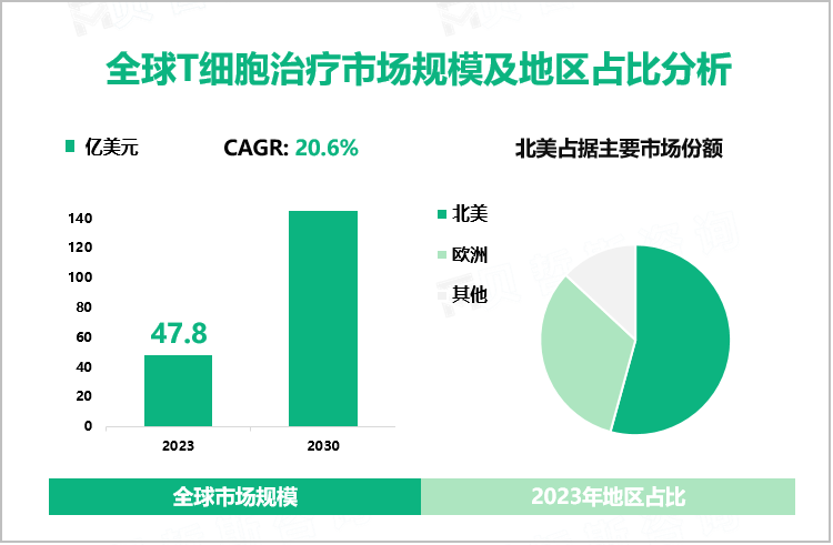 全球T细胞治疗市场规模及地区占比分析