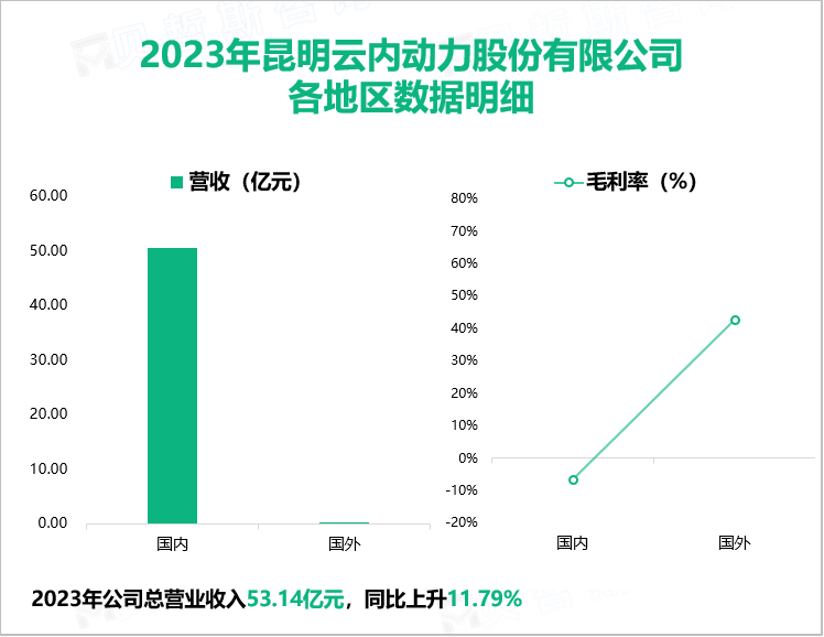 2023年昆明云内动力股份有限公司各地区数据明细