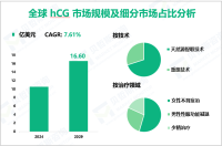 人绒毛膜促性腺激素（hCG）行业前景：预计到2029年全球市场规模将达到16.60亿美元