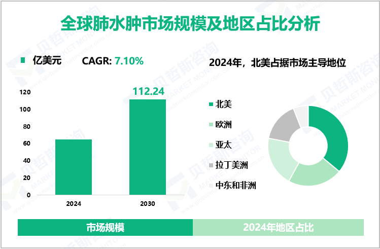 全球肺水肿市场规模及地区占比分析