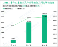 2025上半年山东省实现地区生产总值为50046亿元，增长5.6%