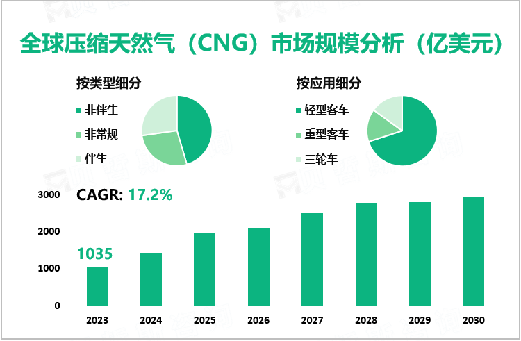 全球压缩天然气（CNG）市场规模分析（亿美元）