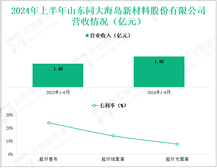 2024年上半年山东同大海岛新材料股份有限公司营收情况(亿元)