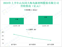 同大股份专注于超纤行业，其营收在2024年上半年为1.92亿元