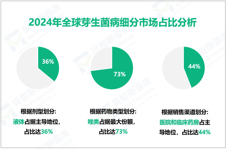 2024年全球芽生菌病细分市场占比分析