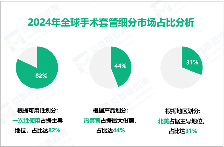 2024年全球手术套管细分市场占比分析