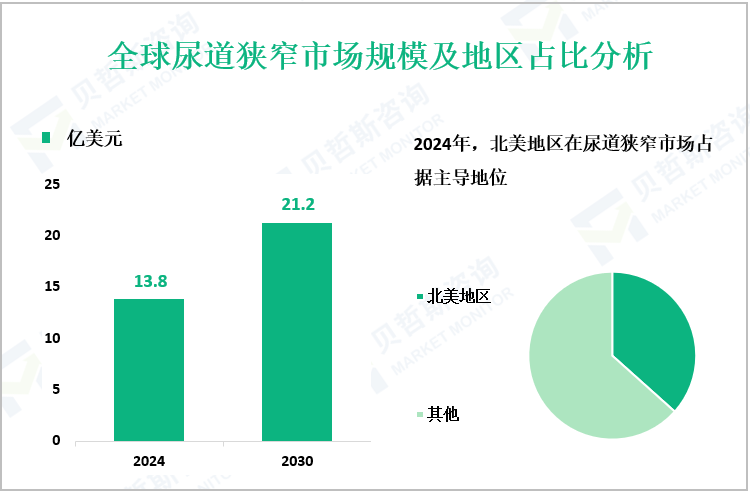 全球尿道狭窄市场规模及地区占比分析