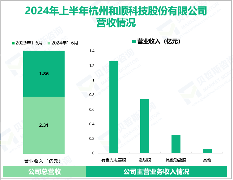 2024年上半年杭州和顺科技股份有限公司营收情况