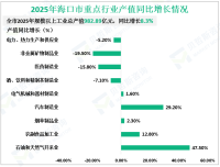 2025年海口市实现地区生产总值（GDP）2562.85亿元，同比增长4.8%