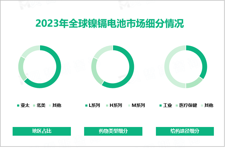 2023年全球镍镉电池市场细分情况