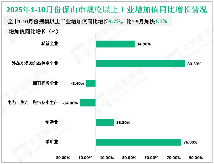 2025年1-10月份保山市规模以上工业增加值同比增长情况