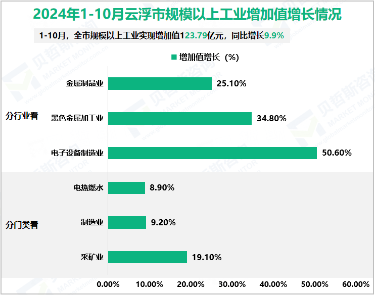 2024年1-10月云浮市规模以上工业增加值增长情况