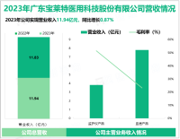 宝莱特坚定以“重症先锋、肾科龙头”为发展定位，其营收在2023年为11.94亿元