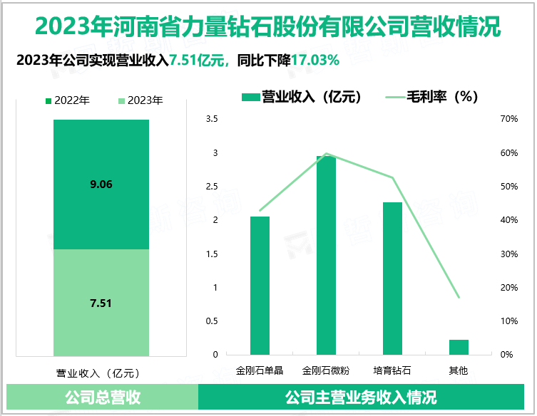 2023年河南省力量钻石股份有限公司营收情况