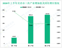 2026年上半年吴忠市实现地区生产总值462.25亿元，同比增长3.8%