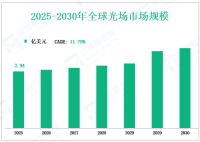 全球光场市场收入和未来展望，到2030年，按类型，应用，地区，和参与者