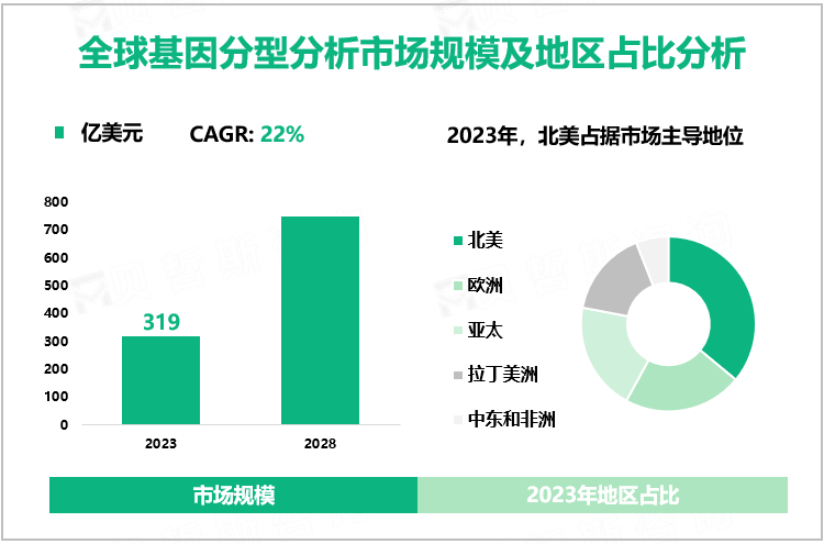 全球基因分型分析市场规模及地区占比分析