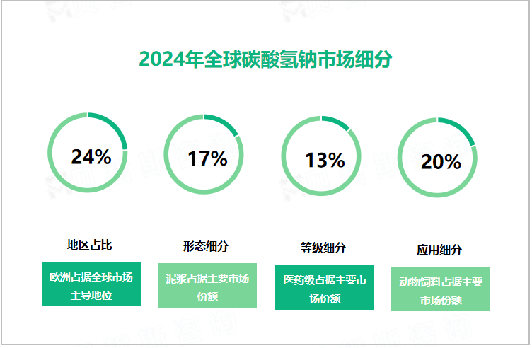 2024年全球碳酸氢钠市场细分