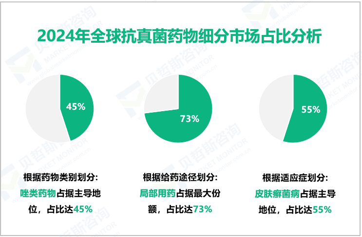 2024年全球抗真菌药物细分市场占比分析