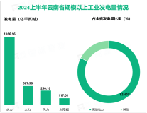 2024上半年云南省规模以上工业发电量1861.32亿千瓦时，同比增长18.0%