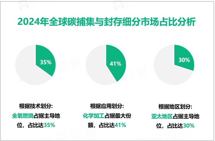 2024年全球碳捕集与封存细分市场占比分析