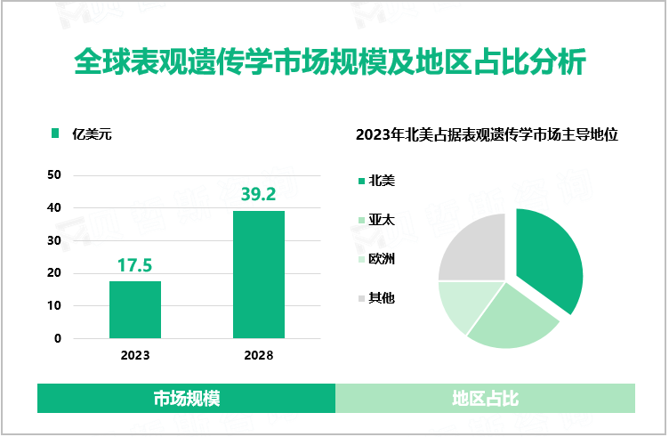 全球表观遗传学市场规模及地区占比分析