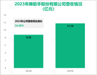 蜂助手专注于物联网IoT业务及其研发投入，其营收在2023年为11.79亿元