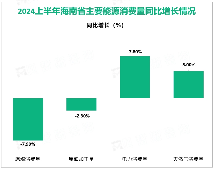 2024上半年海南省主要能源消费量同比增长情况