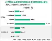 2024年上半年东营市生产总值2028.98亿元，同比增长6.9%