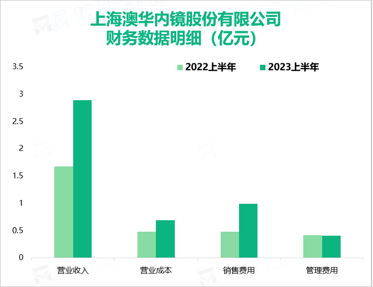 上海澳华内镜股份有限公司财务数据明细（亿元）