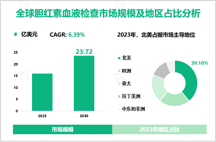 全球胆红素血液检查市场规模及地区占比分析