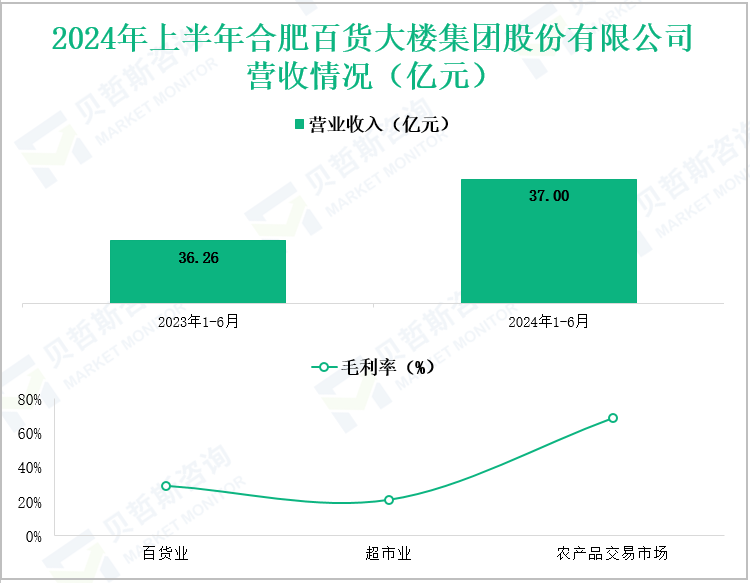 2024年上半年合肥百货大楼集团股份有限公司营收情况(亿元)