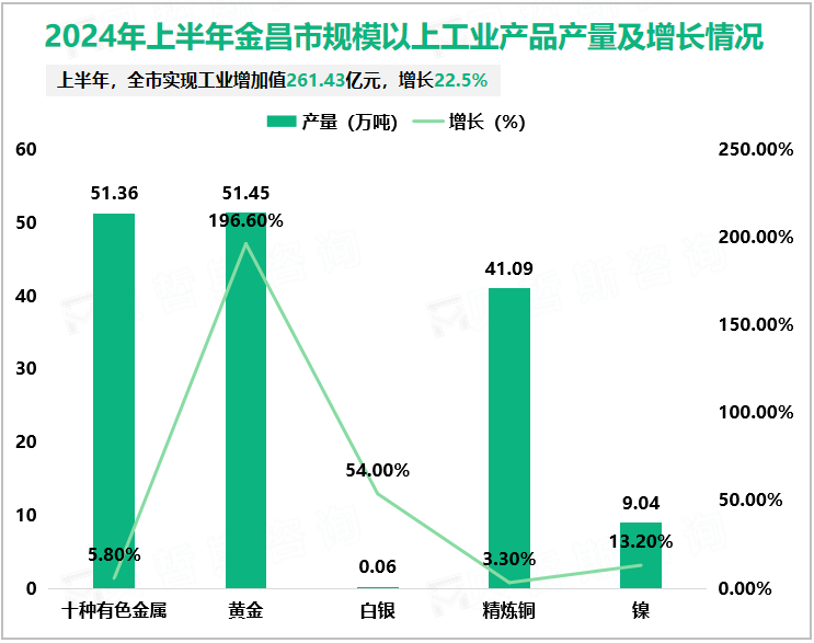 2024年上半年金昌市规模以上工业产品产量及增长情况