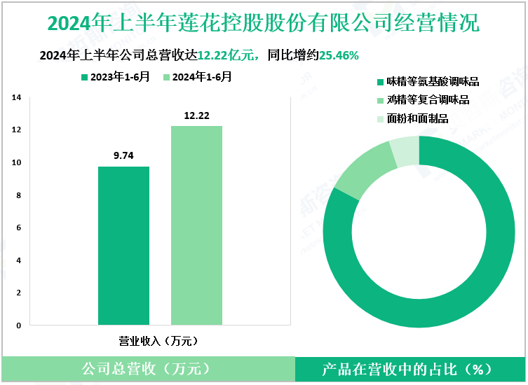 2024年上半年莲花控股股份有限公司经营情况