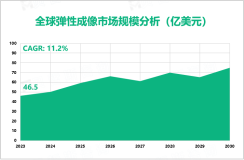 2023年全球弹性成像市场规模达46.5亿美元，新兴市场提供巨大增长机遇

