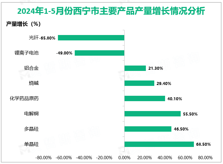 2024年1-5月份西宁市主要产品产量增长情况分析