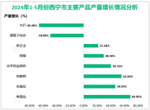 2024年1-5月西宁市规模以上工业增加值同比增长12.8%，增速高于全省13.0%