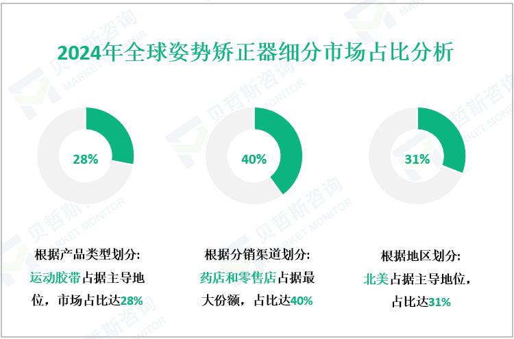 2024年全球姿势矫正器细分市场占比分析