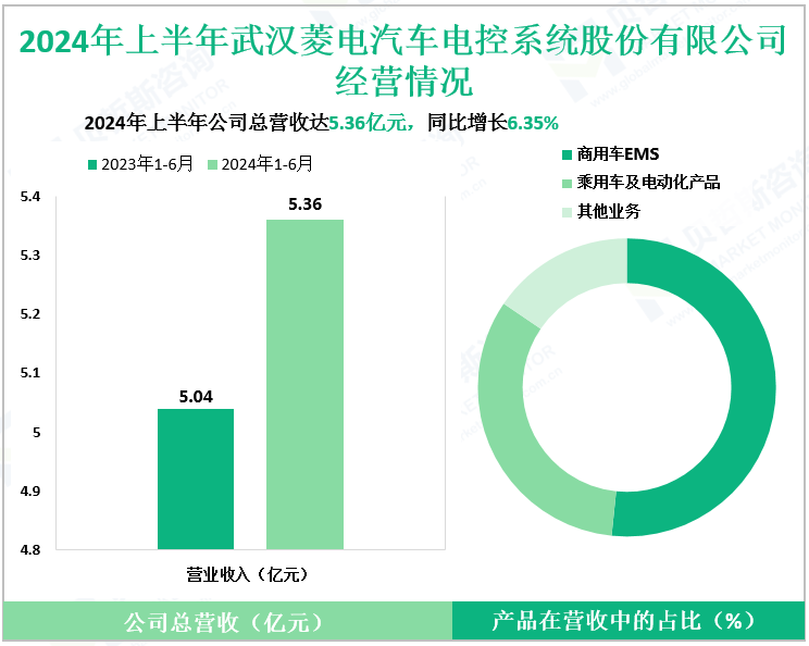 2024年上半年武汉菱电汽车电控系统股份有限公司经营情况