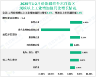 2025年1-2月份新疆维吾尔自治区规模以上工业增加值同比增长4.1%